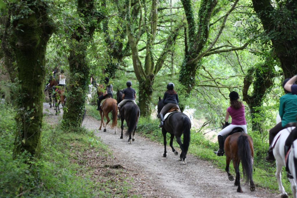 Montar a caballo para despedidas de soltera