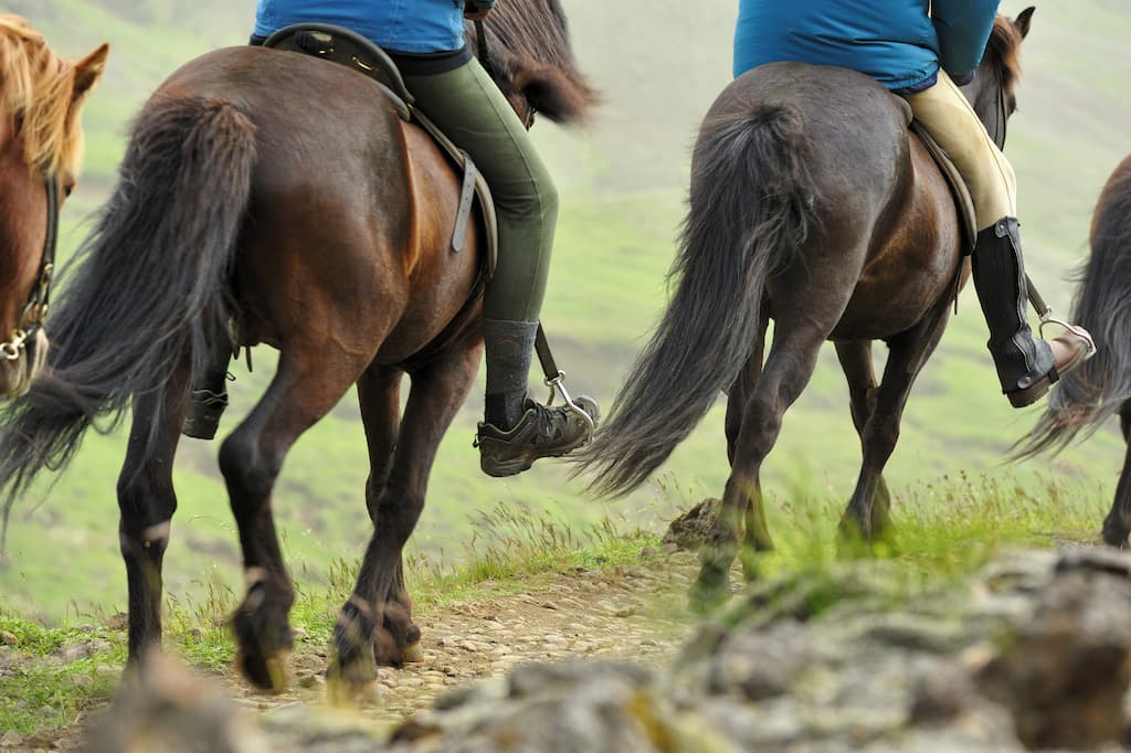paseo a caballo en Barcelona por la naturaleza